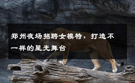 郑州夜场招聘女模特，打造不一样的星光舞台