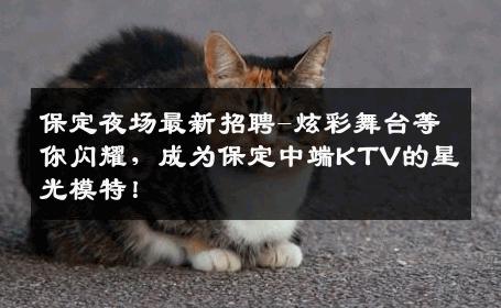 保定夜场最新招聘-炫彩舞台等你闪耀，成为保定中端KTV的星光模特！