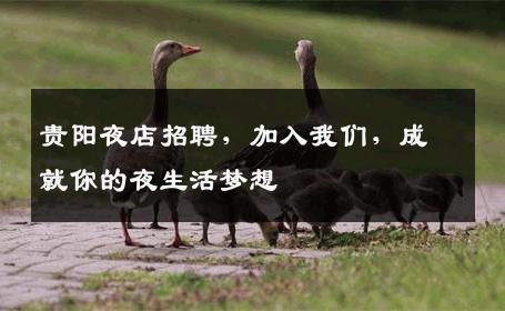 贵阳夜店招聘，加入我们，成就你的夜生活梦想