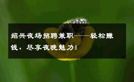 绍兴夜场招聘兼职——轻松赚钱，尽享夜晚魅力！