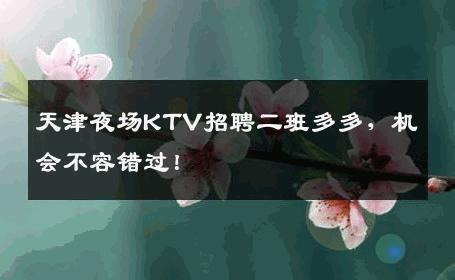 天津夜场KTV招聘二班多多，机会不容错过！