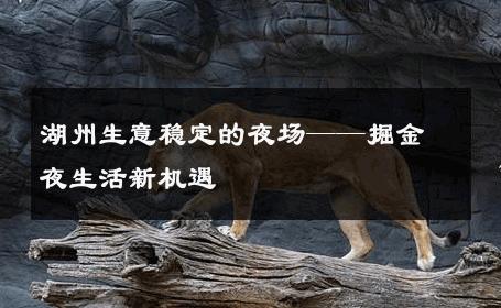湖州生意稳定的夜场——掘金夜生活新机遇