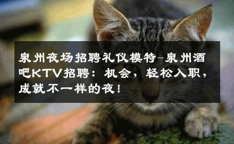 泉州夜场招聘礼仪模特-泉州酒吧KTV招聘：机会，轻松入职，成就不一样的夜！