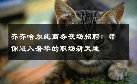 齐齐哈尔纯商务夜场招聘：带你进入奢华的职场新天地