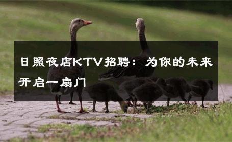 日照夜店KTV招聘：为你的未来开启一扇门