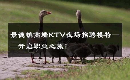 景德镇高端KTV夜场招聘模特——开启职业之旅！