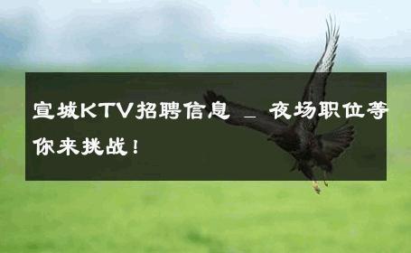 宣城KTV招聘信息 _ 夜场职位等你来挑战！