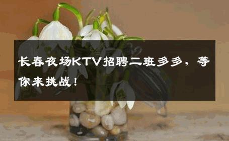 长春夜场KTV招聘二班多多，等你来挑战！