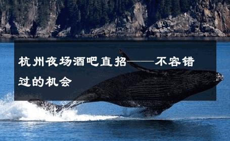 杭州夜场酒吧直招——不容错过的机会