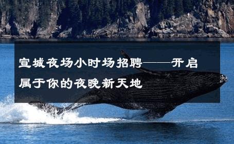 宣城夜场小时场招聘——开启属于你的夜晚新天地