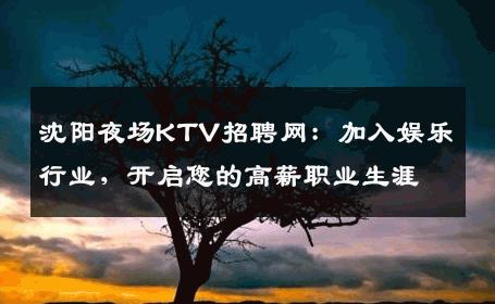 沈阳夜场KTV招聘网：加入娱乐行业，开启您的高薪职业生涯