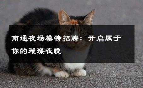 南通夜场模特招聘：开启属于你的璀璨夜晚