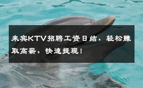 来宾KTV招聘工资日结，轻松赚取高薪，快速提现！