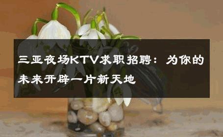 三亚夜场KTV求职招聘：为你的未来开辟一片新天地