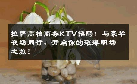 拉萨高档商务KTV招聘：与豪华夜场同行，开启你的璀璨职场之旅！