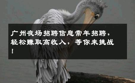 广州夜场招聘信息常年招聘，轻松赚取高收入，等你来挑战！