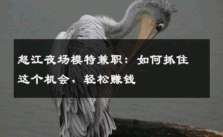 怒江夜场模特兼职：如何抓住这个机会，轻松赚钱