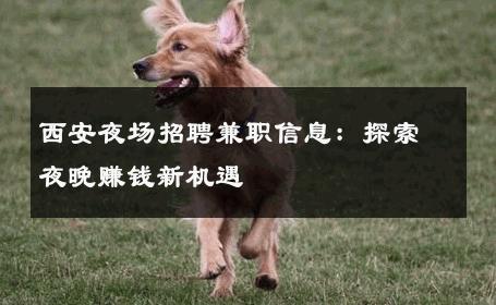 西安夜场招聘兼职信息：探索夜晚赚钱新机遇