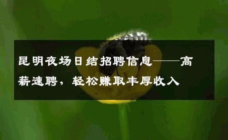 昆明夜场日结招聘信息——高薪速聘，轻松赚取丰厚收入