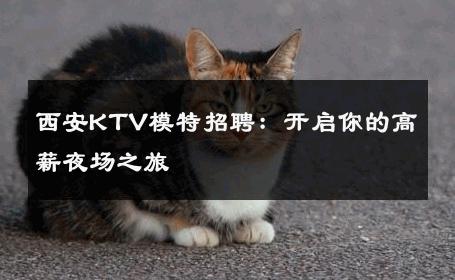 西安KTV模特招聘：开启你的高薪夜场之旅