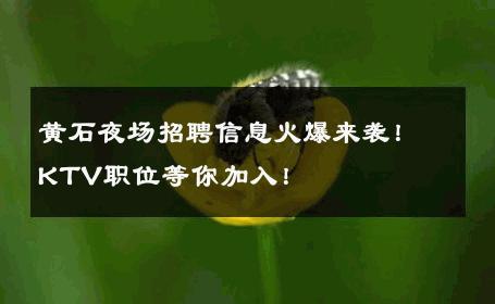 黄石夜场招聘信息火爆来袭！KTV职位等你加入！