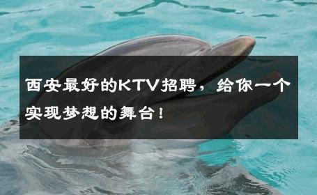 西安最好的KTV招聘，给你一个实现梦想的舞台！