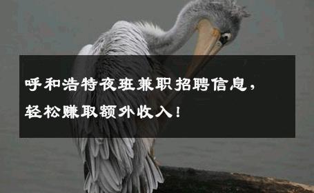 呼和浩特夜班兼职招聘信息，轻松赚取额外收入！