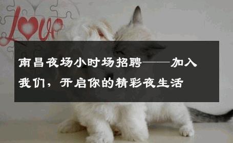 南昌夜场小时场招聘——加入我们，开启你的精彩夜生活