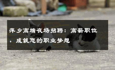 萍乡高端夜场招聘：高薪职位，成就您的职业梦想