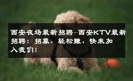 西安夜场最新招聘-西安KTV最新招聘：招募，轻松赚，快来加入我们！