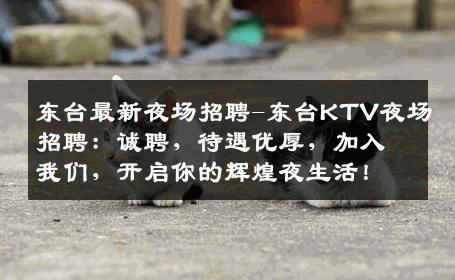 东台最新夜场招聘-东台KTV夜场招聘：诚聘，待遇优厚，加入我们，开启你的辉煌夜生活！