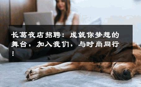 长葛夜店招聘：成就你梦想的舞台，加入我们，与时尚同行！