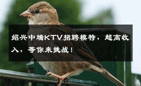 绍兴中端KTV招聘模特，超高收入，等你来挑战！