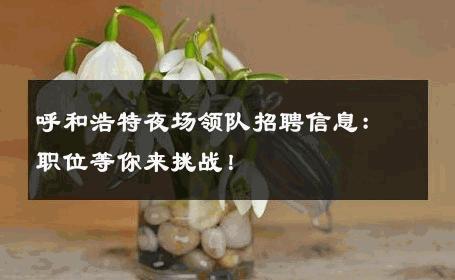 呼和浩特夜场领队招聘信息：职位等你来挑战！