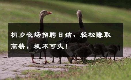 桐乡夜场招聘日结，轻松赚取高薪，机不可失！
