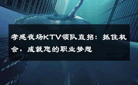 孝感夜场KTV领队直招：抓住机会，成就您的职业梦想