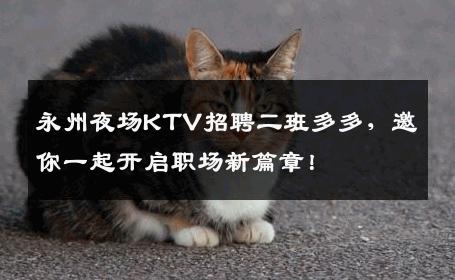永州夜场KTV招聘二班多多，邀你一起开启职场新篇章！