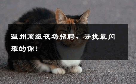 温州顶级夜场招聘，寻找最闪耀的你！