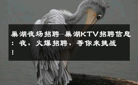 巢湖夜场招聘-巢湖KTV招聘信息：夜，火爆招聘，等你来挑战！