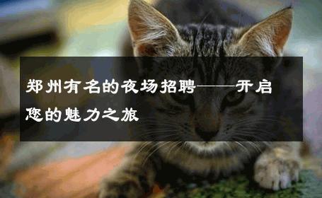郑州有名的夜场招聘——开启您的魅力之旅
