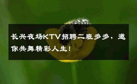 长兴夜场KTV招聘二班多多，邀你共舞精彩人生！