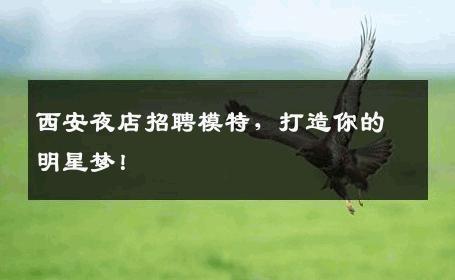 西安夜店招聘模特，打造你的明星梦！