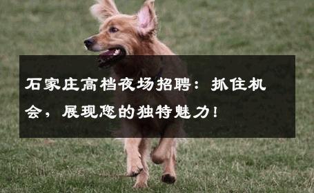 石家庄高档夜场招聘：抓住机会，展现您的独特魅力！