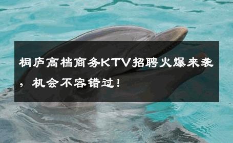 桐庐高档商务KTV招聘火爆来袭，机会不容错过！