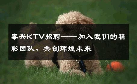泰兴KTV招聘——加入我们的精彩团队，共创辉煌未来