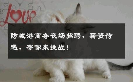 防城港商务夜场招聘，薪资待遇，等你来挑战！