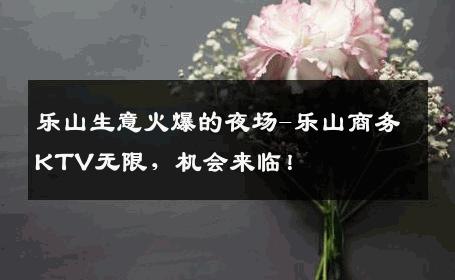 乐山生意火爆的夜场-乐山商务KTV无限，机会来临！