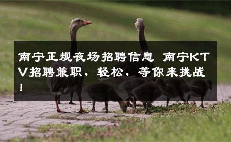 南宁正规夜场招聘信息-南宁KTV招聘兼职，轻松，等你来挑战！