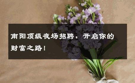 南阳顶级夜场招聘，开启你的财富之路！