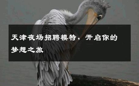 天津夜场招聘模特，开启你的梦想之旅
